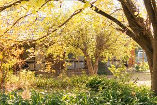 Image of house with a front garden